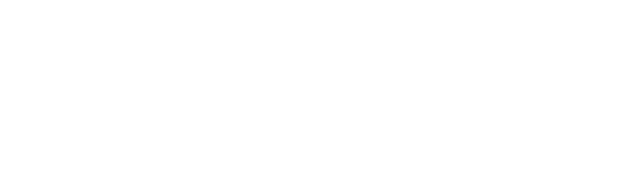 Lopez Besozzi Inversiones Inmobiliaria